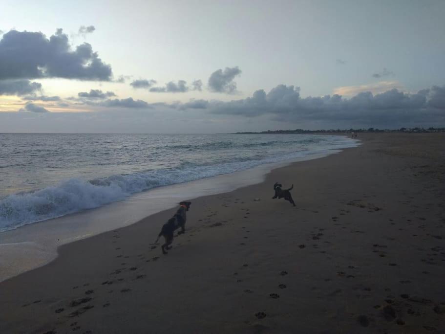 Precioso Apartamento A 50 Metros De La Playa Rincón de la Victoria Zewnętrze zdjęcie